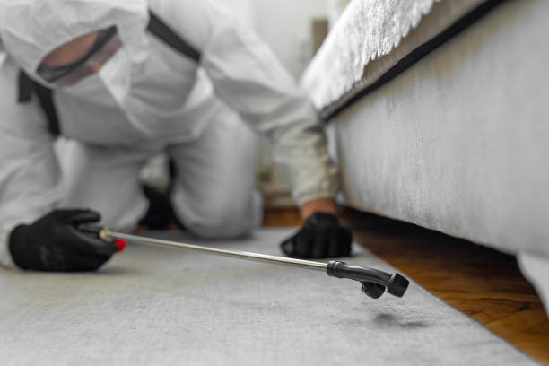 Professional Emergency Pest Control technician working in New Hope, AL