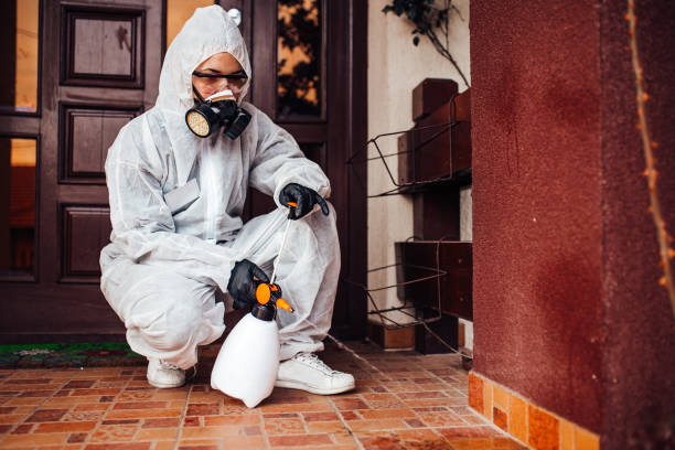 Reliable Emergency Pest Control contractor in New Hope, AL by Nex Pest Control