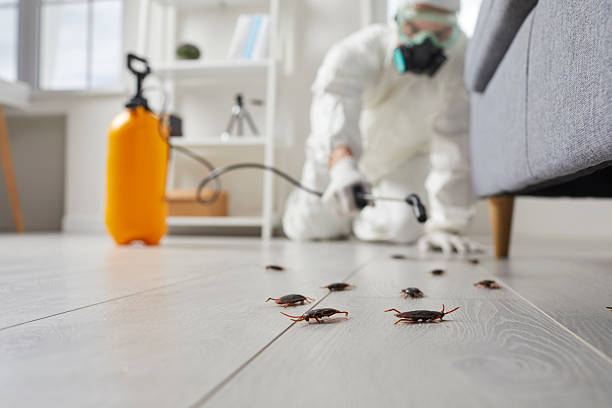 Trusted Fumigation Services service in New Hope, AL - Nex Pest Control